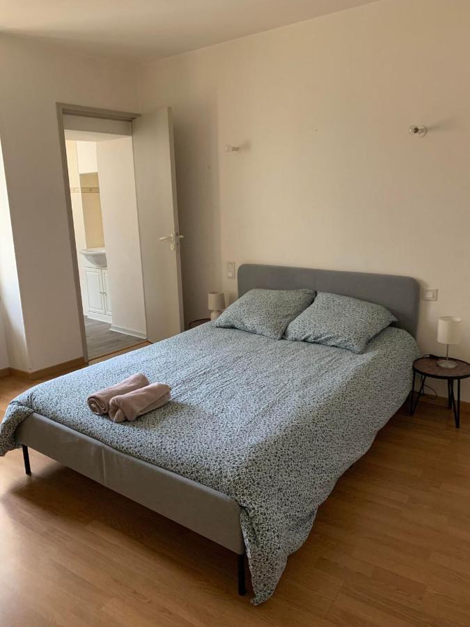 Ravissant Appartement T3 Hypercentre De Mazamet Eksteriør billede